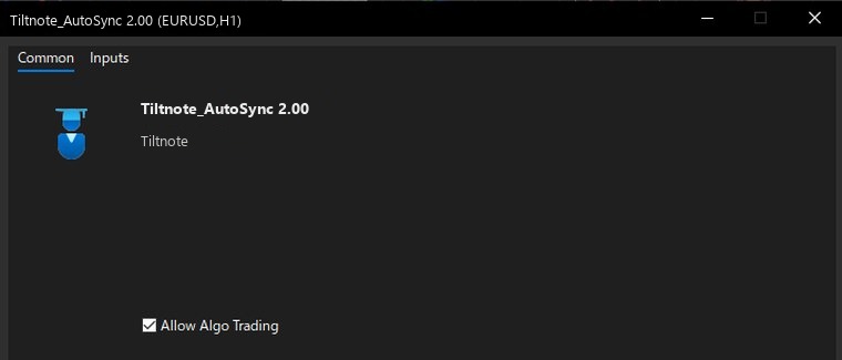 MT5 The "Common" tab when you attach the EA